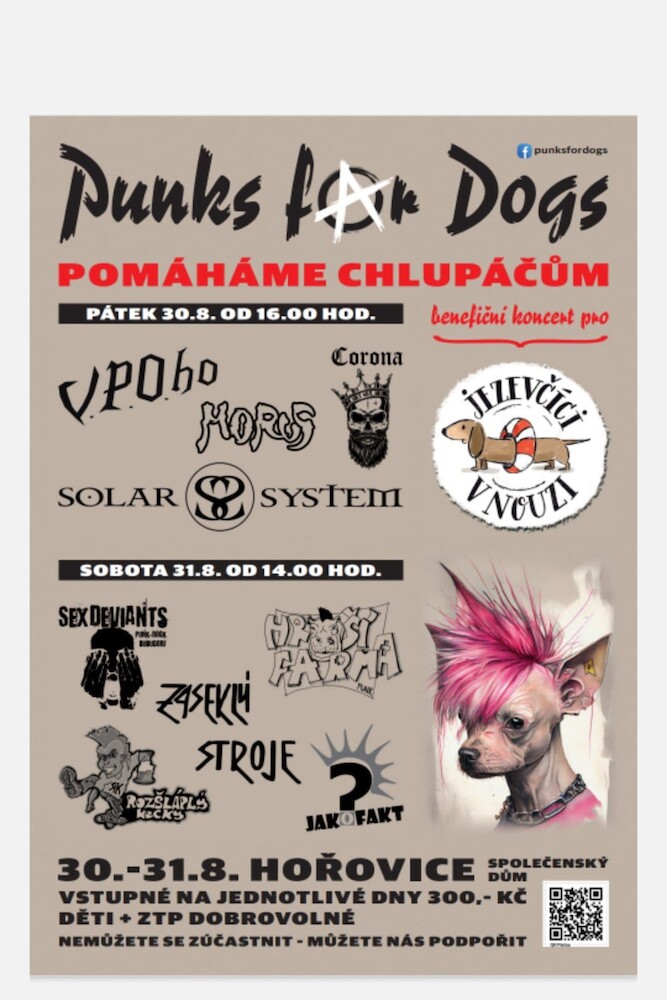 punk for dog