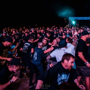 festikycz fajtfest 2025 4