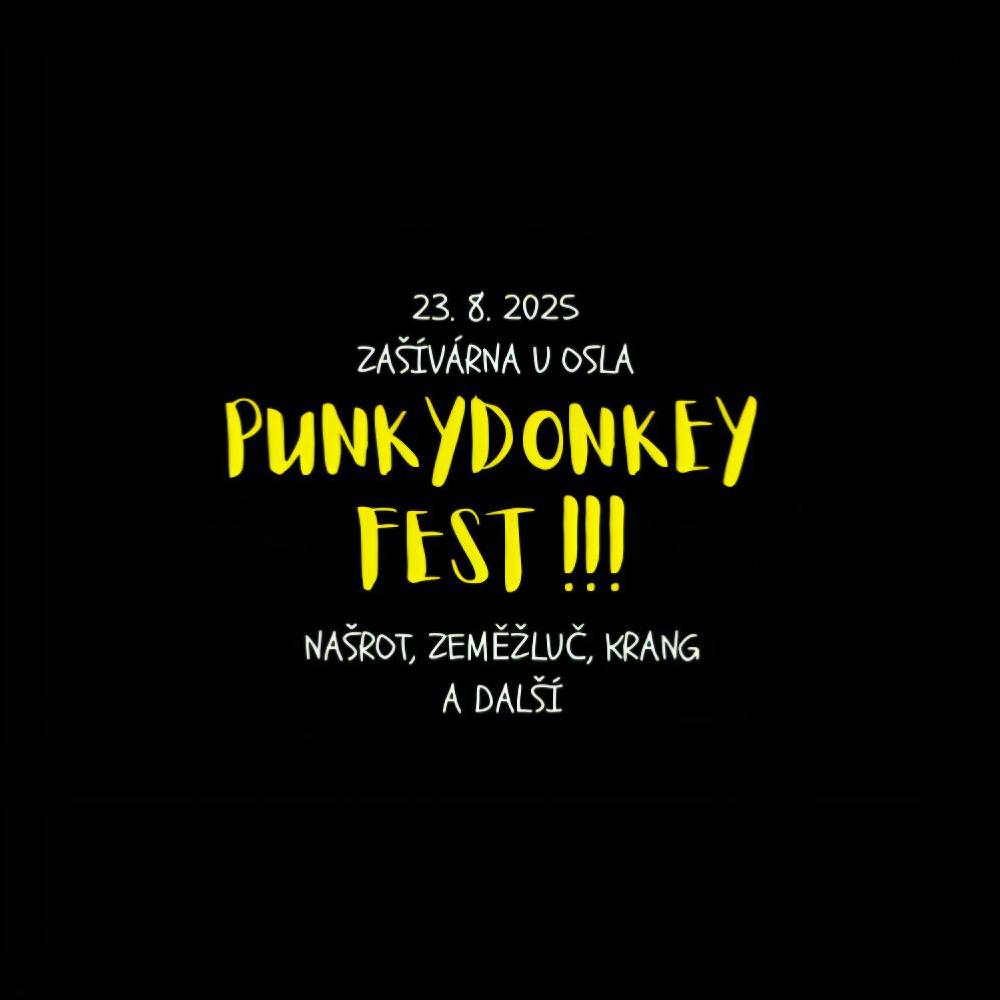 festikycz punkydonkey fest 2024