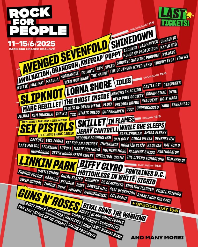 festikycz rock for people 2025 819x1024