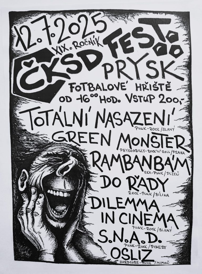 festikycz cksd fest 2024 768x1041