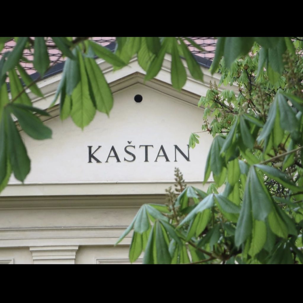 festikycz letnak v kastanu v praze 1 1024x1024