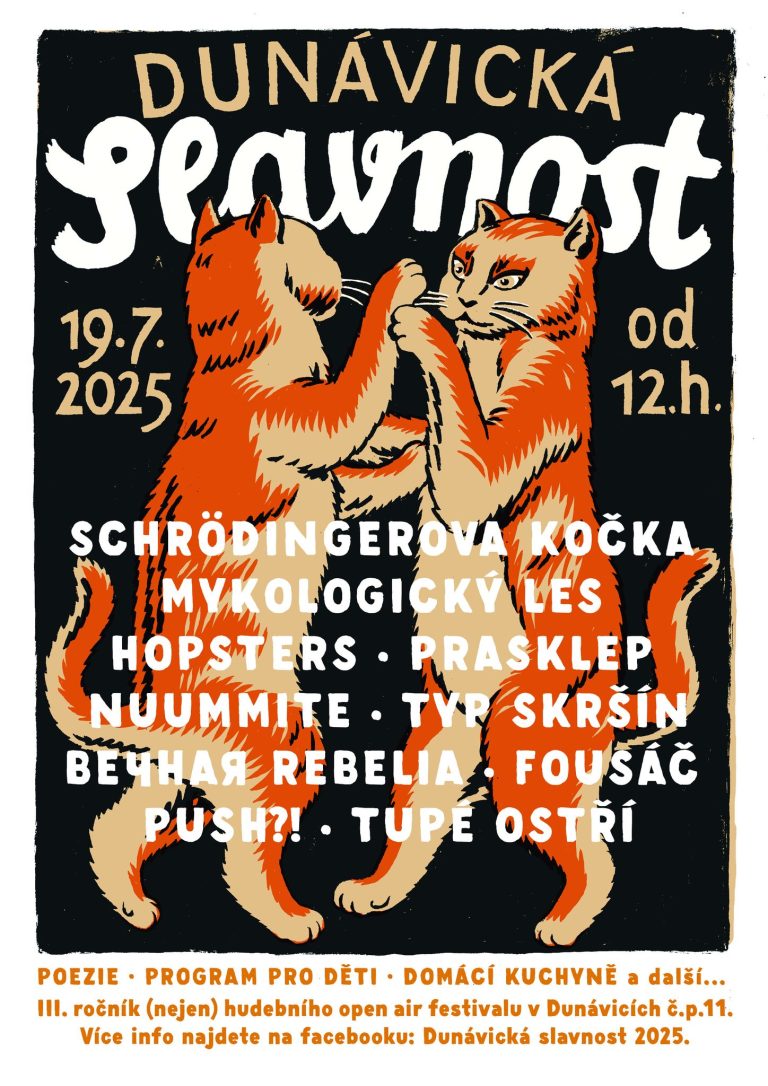 festikycz dunavicka slavnost 2025 768x1086