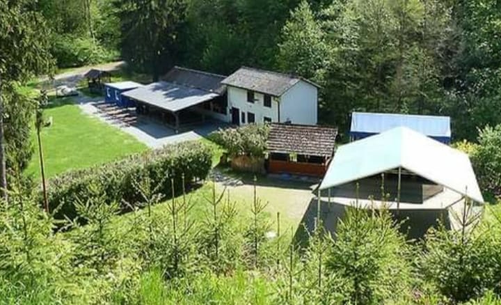 festikycz music live festival 1