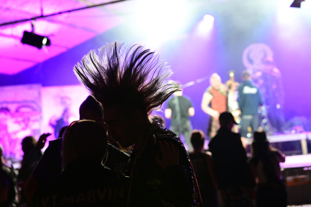 festikycz punkplugged acoustic fest 2026 1 1024x682